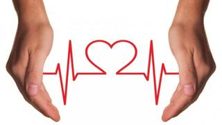 Día Mundial del Corazón: ¿Cómo evitar enfermedades cardiovasculares?