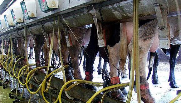 PETA dice que nadie deber tomar leche de vaca.. y no solo por cuidar la salud