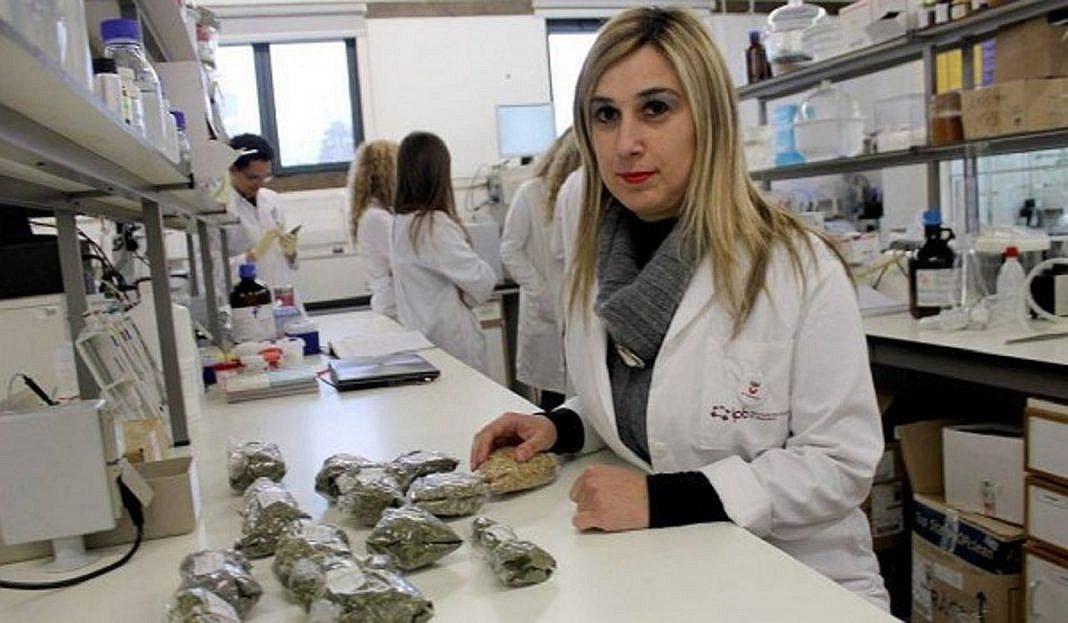 ​Espray natural para conservar alimentos reemplaza a bolsas de plástico