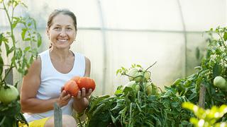 Aprenda a crear su propio huerto de vegetales en casa