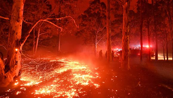 Áncash: incendios forestales durante este año se duplicaron en comparación con el 2019 (Foto referencial: AFP)
