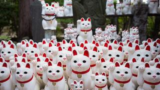 ​Templo de 'gatos de la suerte' atrae en masa a 'instagramers' de todo el mundo