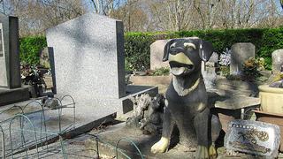 ​Cementerio alberga animales amados, incluido el famoso perro Rin Tin Tin