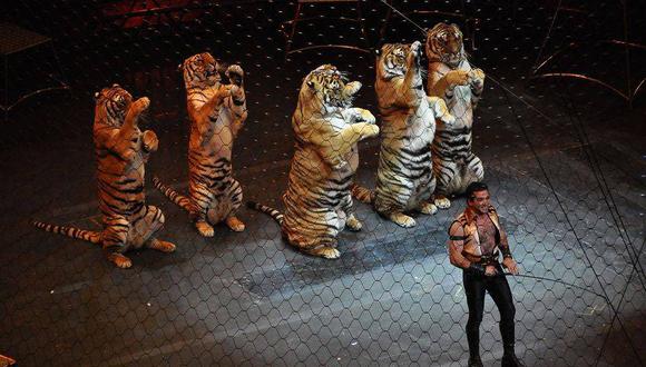 Avance animalista: Varsovia prohíbe circos con presencia del animales 
