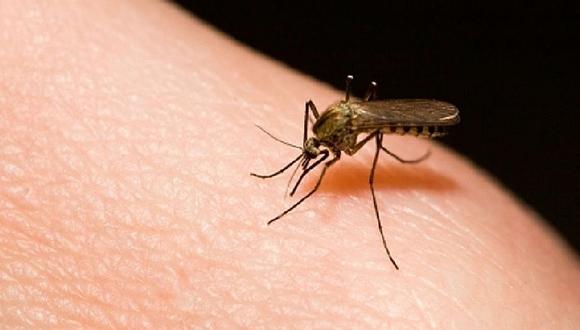 Malaria: Aprende cómo prevenir y tratar esta enfermedad 
