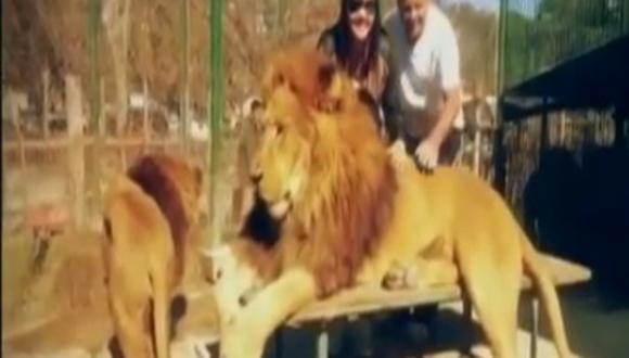 Argentina: Zoológico permite que visitantes toquen las fieras [VIDEO]