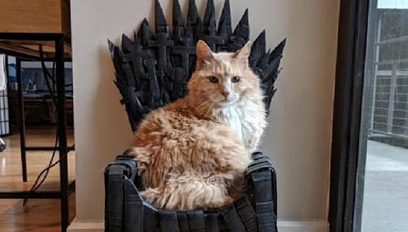 ​Fanático de Juego de Tronos creó un trono de cartón para su gato