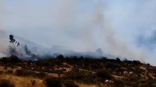 Huaral: incendio forestal deja dos muertos y varios heridos en Piscocoto | FOTOS