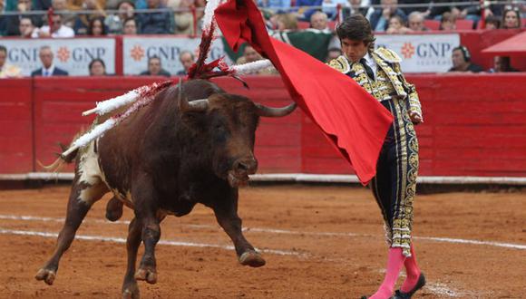 En las corridas, los toros son victimados con extrema crueldad y algunos dicen que es un "espectáculo".