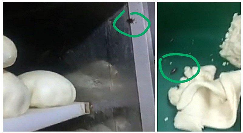 Calle Capón: preparan bocaditos chinos y min pao entre cucarachas (VIDEO)