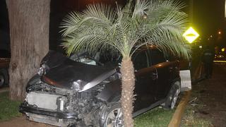 Borracho al volante se lleva postes de luz y una palmera y sobrevive