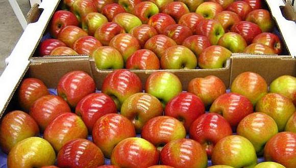 Advierten que tres mil cajas de frutas chilenas están contaminadas