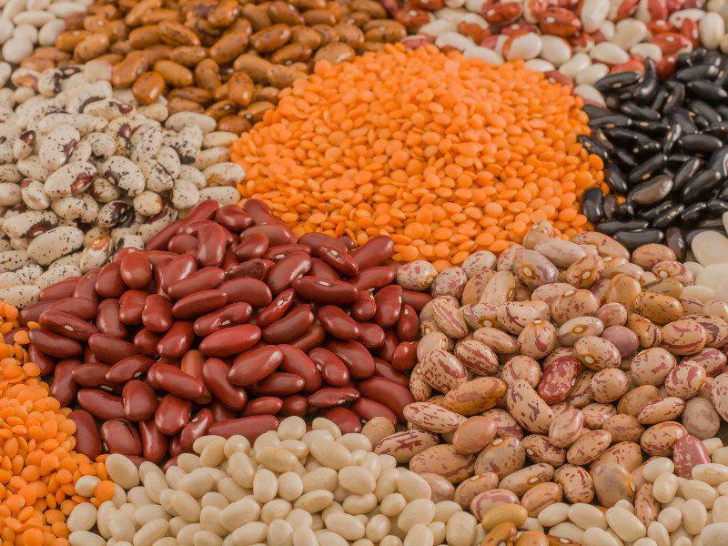 Pon menestras en la dieta de tu familia