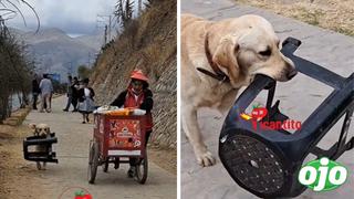 Perrito que acompaña a vendedora de helados se vuelve viral