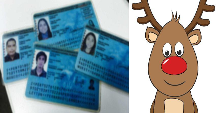 Reniec navideño: ¿Cuántas personas se llaman 'Reno' y 'Guirnalda' en el Perú? 