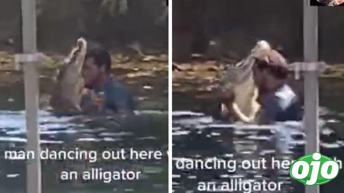 Viral hombre baila cumbia con un cocodrilo web ojo | VIDEOS | OJO