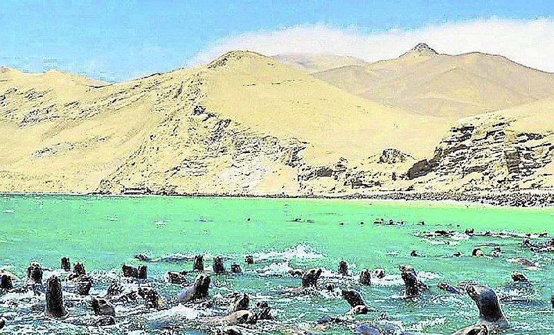 Riqueza del Mar de grau