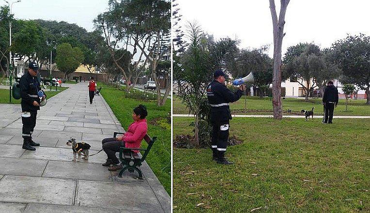 ​Surco multó a más de mil vecinos por no recoger excretas de sus perros