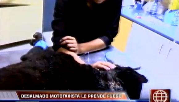 Chorrillos: Mototaxista le prende fuego a perrito y luego lo atropella [VIDEO]
