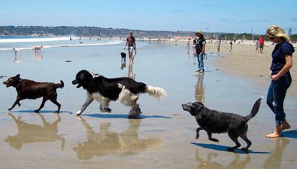 Portugal: Perritos ya tienen playa para jugar y bañarse 