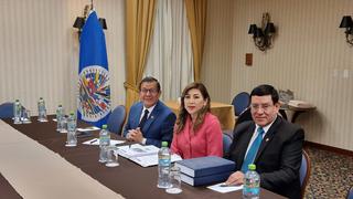 Lady Camones tras reunión con la OEA: “Hemos descartado la instrumentalización de la Subcomisión de Acusaciones”