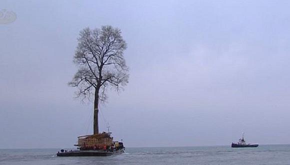 ​YouTube: Trasladan árbol centenario por el Mar Negro por capricho [VIDEO]