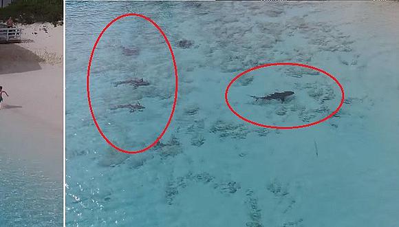YouTube: niño se salva de ser atacado por cuatro tiburones (VIDEO)