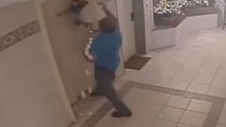 Perrito casi muere ahorcado en ascensor [VIDEO] 