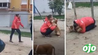 Un perrito se perdió y su dueña lo encuentra luego de cinco años