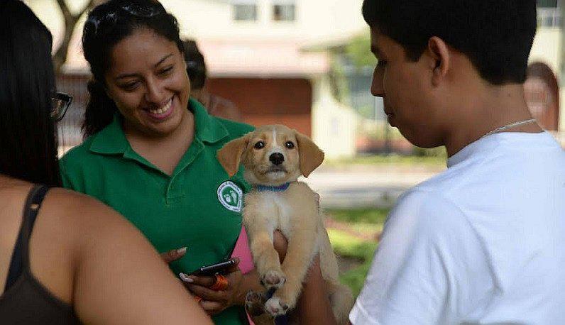 ​Perrita que se salvó de morir en huaico fue adoptada por... (FOTOS)