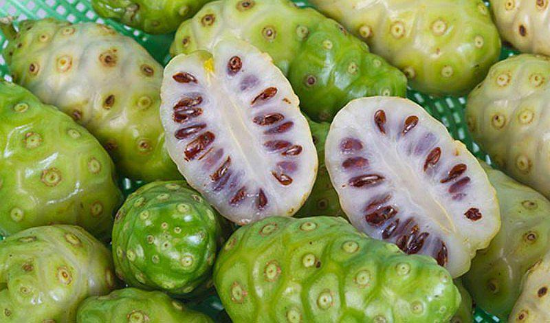 ¡Increíble! Conoce 5 beneficios de consumir noni