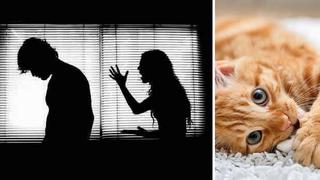 Mujer mata a su esposo por abusar de su gato