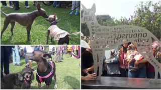 Perro peruano sin pelo: inauguran escultura en su honor en San Borja (VIDEO)
