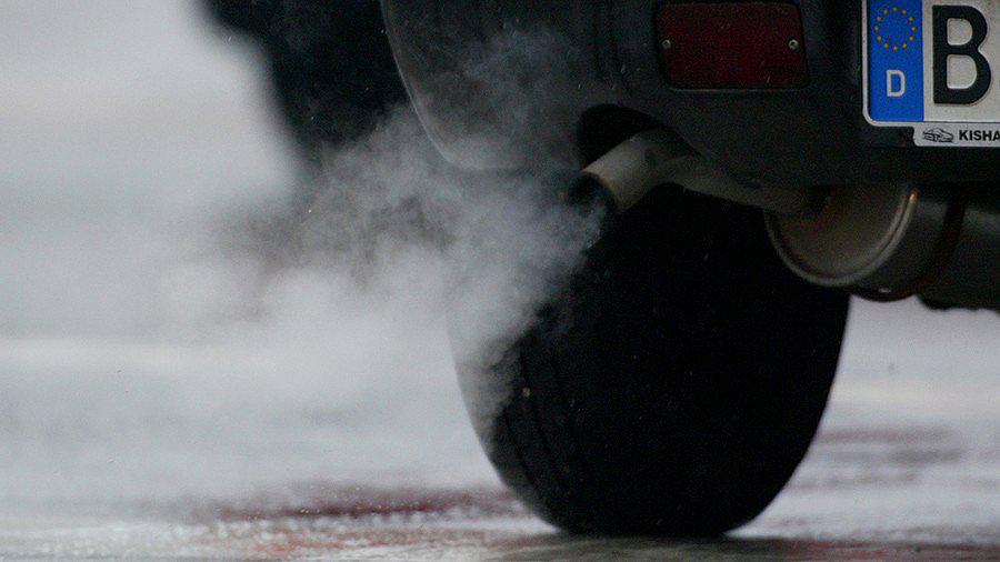 ​Automotoras de Alemania usan monos y humanos para respirar humo