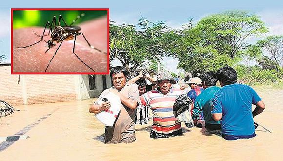 ¡Piura es atacada por el dengue! Zancudo anda suelto en zonas inundadas 