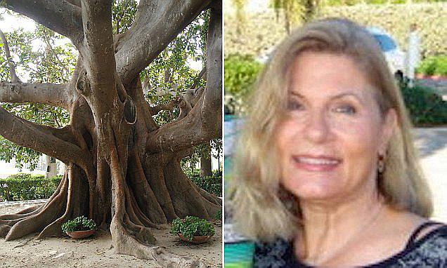 Mujer se "casa" con árbol centenario para evitar que lo talen