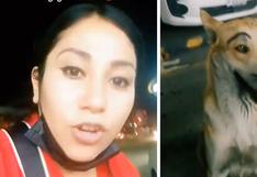 Mujer denuncia maltrato a un perrito de la calle que utilizaron para burlarse