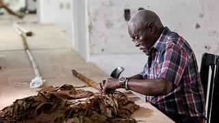 Tabaquero cubano intenta alcanzar nuevo récord Guinness con habano gigante