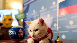 ​Gato Aquiles pronosticó que Rusia ganaría en su debut mundialista frente a Arabia Saudita