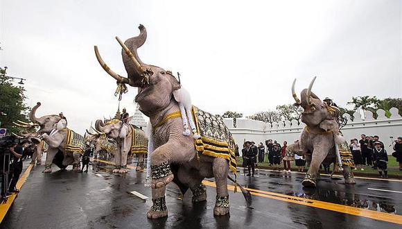Formación de elefantes presenta sus respetos al difundo rey de Tailandia 