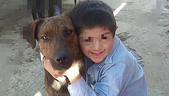 Perro guía de niño con síndrome de down muere envenenado