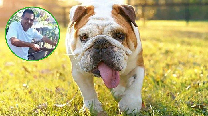 Perrito es recuperado luego que delincuentes mataron a su dueño para robárselo | FOTOS