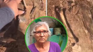 Madre buscaba a su hijo desaparecido y encontró 6 cadáveres en fosa clandestina (VIDEO)