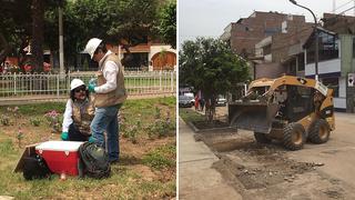 Inician remoción de tierra, plantas y jardines en zona de aniego en SJL (VIDEO)