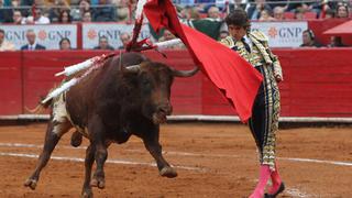 Ciudad de México está muy cerca de prohibir la cruel muerte de toros en el ruedo