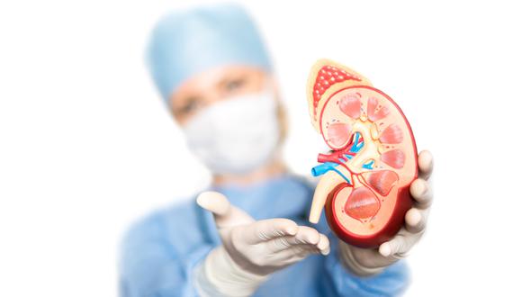 “En el Perú, los tipos de trasplante más comunes son los que involucran órganos como el riñón, corazón, hígado y pulmón y tejidos como corneas, medula ósea, piel y hueso", dijo el especialista.  (Difusión)
