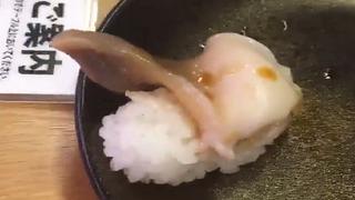 Video que muestra a un "sushi vivo" paraliza las redes sociales 