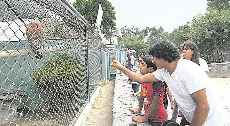 Parque de las Leyendas: Aseguran que concierto no afectará a los animales 