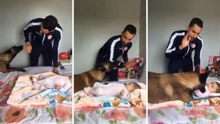  Facebook: hombre simula pegar a una bebé y perro sale a defenderla | VÍDEO
