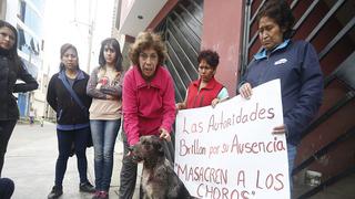 San Martín de Porres: Ladrones roban 6 casas y acuchillan a perrita 
